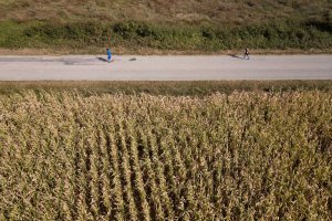 «Επανάσταση» του δρομικού κινήματος το Ioannina Lake Run